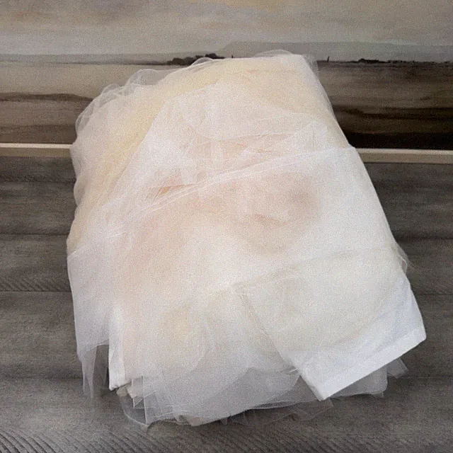 Pottery Barn Kids Monique Lhuillier Blush Pink Ethereal Bed Skirt Full Flaw Read
